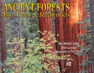 2005 Ancient Forests Calendar