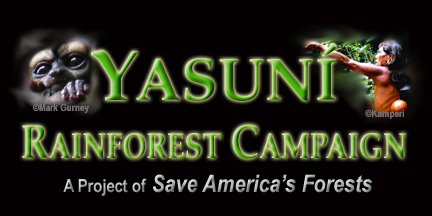 Yasuni Rainforest Campaign - Save America's Forests