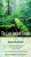 The Last Ancient Forests with James Redfield